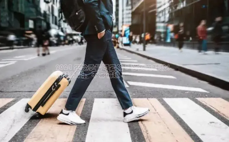 Bsport体育在线官网百度营销中心2024 年秋季最可爱的 3 岁女童鞋款：
舒适时尚，不容错过