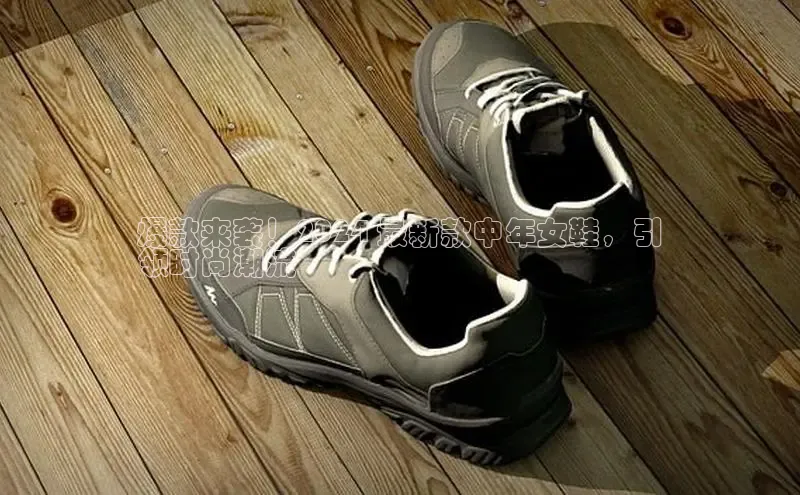 Bsports网页版登录入口彩讯股份爆款来袭！2024 最新款中年女鞋，引
领时尚潮流