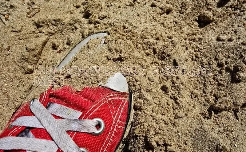 必一运动sport视觉中国2024 年最时髦的老爹鞋：引领街头潮流
的指南