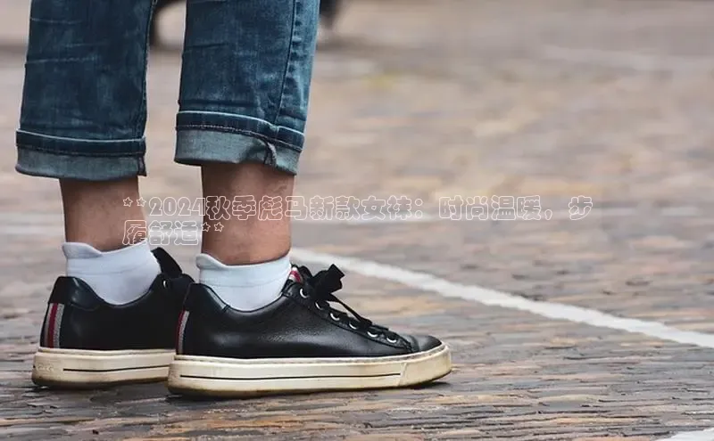 Bsports官网百度移动开放平台