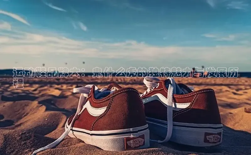 必一体育网页入口梯哥哥科技运动鞋品牌大：鬼什么虎的独特魅力与发展历
程