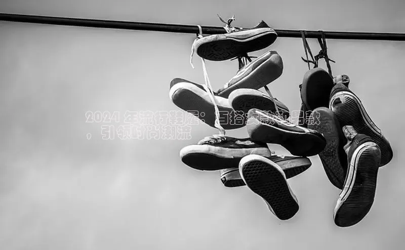 必一运动Bsport官方网站颐驰 062024 年流行鞋履：百搭女款和男款
，引领时尚潮流