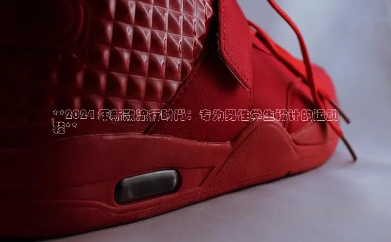 bsport体育最新官网入口滴滴出行**2024 年新款流行时尚：专为男性学生设计的运动
鞋**