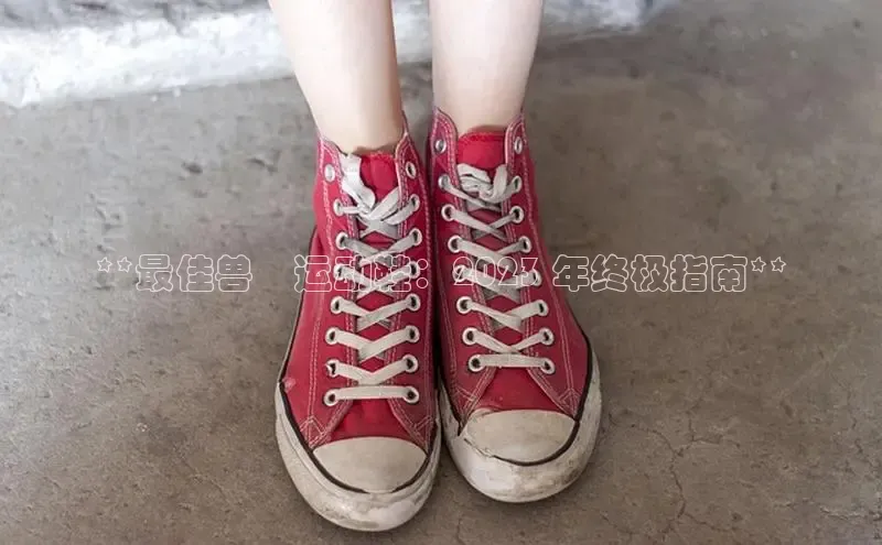 bsports必一体育网页版登录中文在线**最佳兽覇运动鞋：2023 年终极指南**