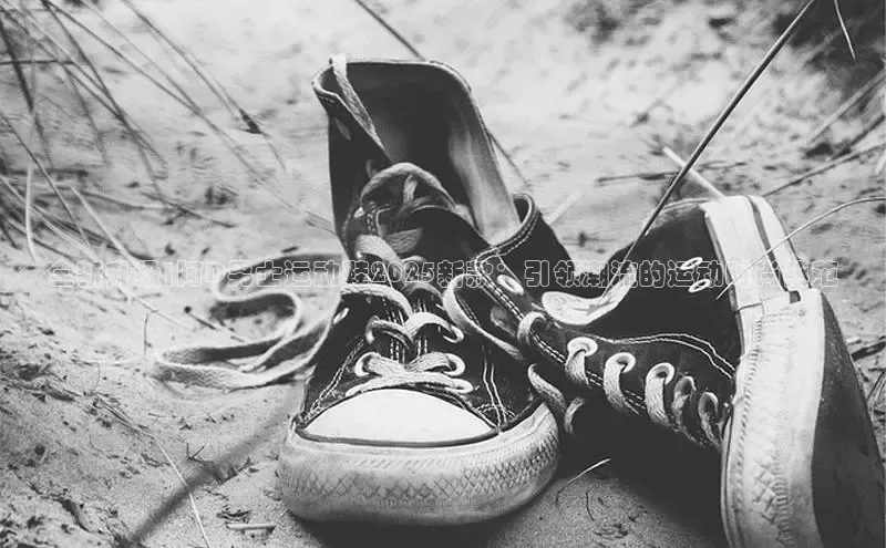 Bsports在线登录入口普信公司全新升级|阿D男士运动鞋2025新款：引领潮流的运动时尚典范