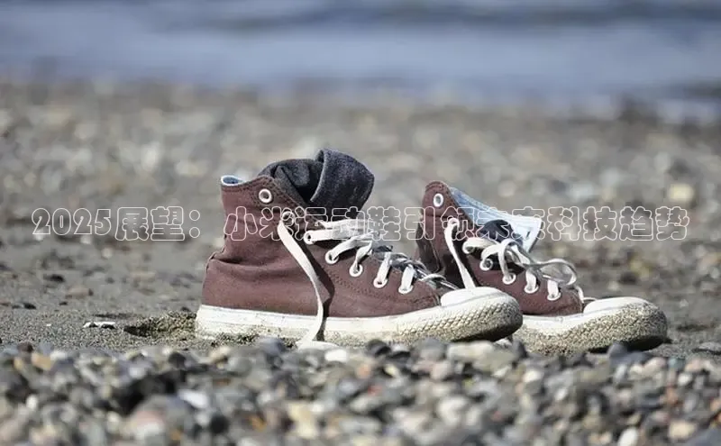 bsports必一中国神思电子2025展望：小米运动鞋引领未来科技趋势