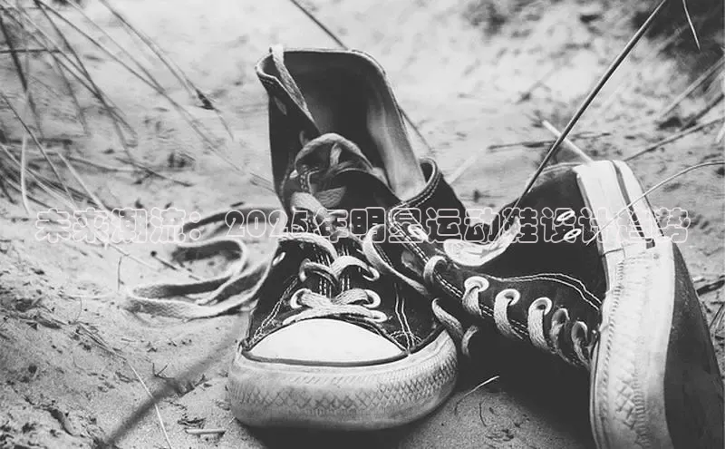 Bsport体育在线官网百度集团未来潮流：2025年明星运动鞋设计趋势