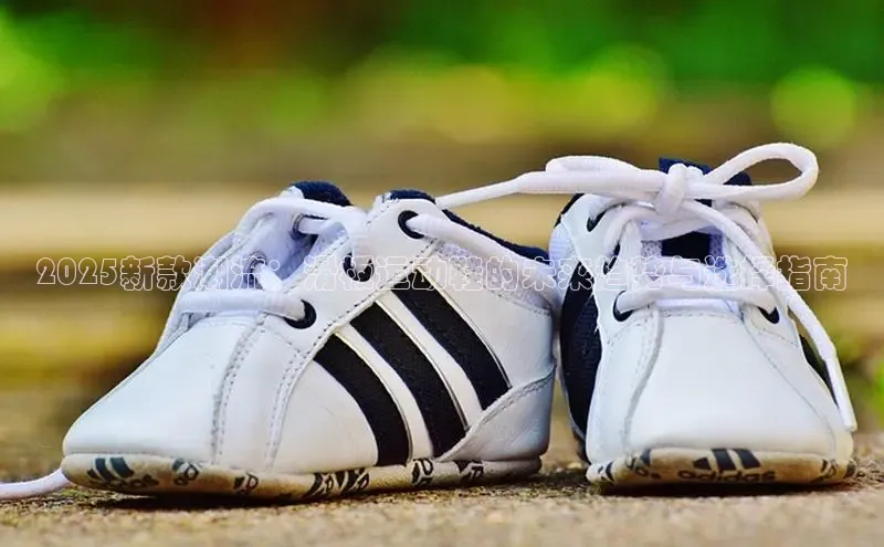 2025新款潮流：滑板运动鞋的未来趋势与选择指南