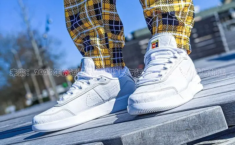 未来：2025年的运动鞋设计趋势与运动鞋版师的挑战与机遇