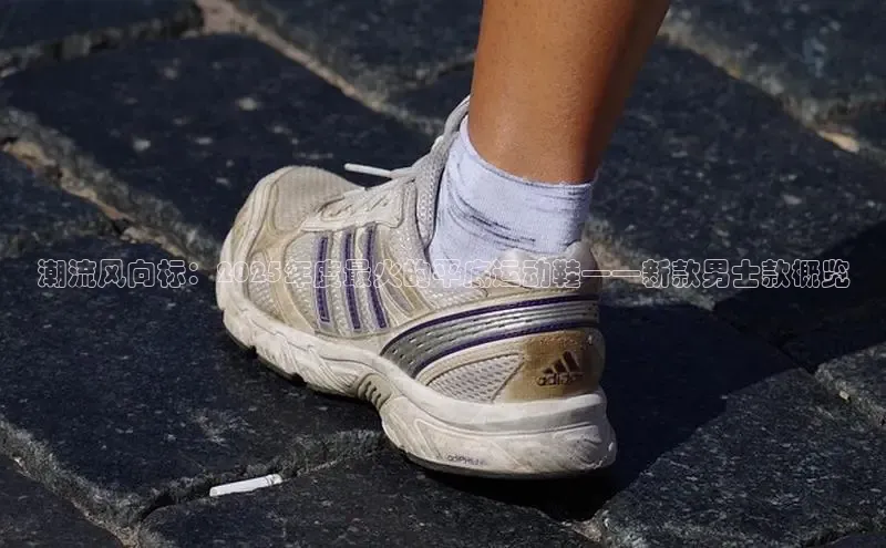 潮流风向标：2025年度最火的平底运动鞋——新款男士款概览