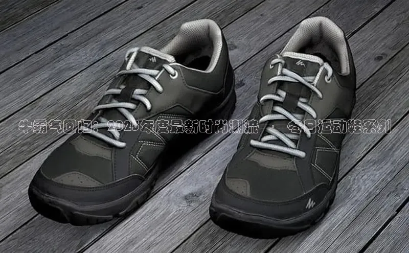 牛霸气回归：2025年度最新时尚潮流——冬日运动鞋系列