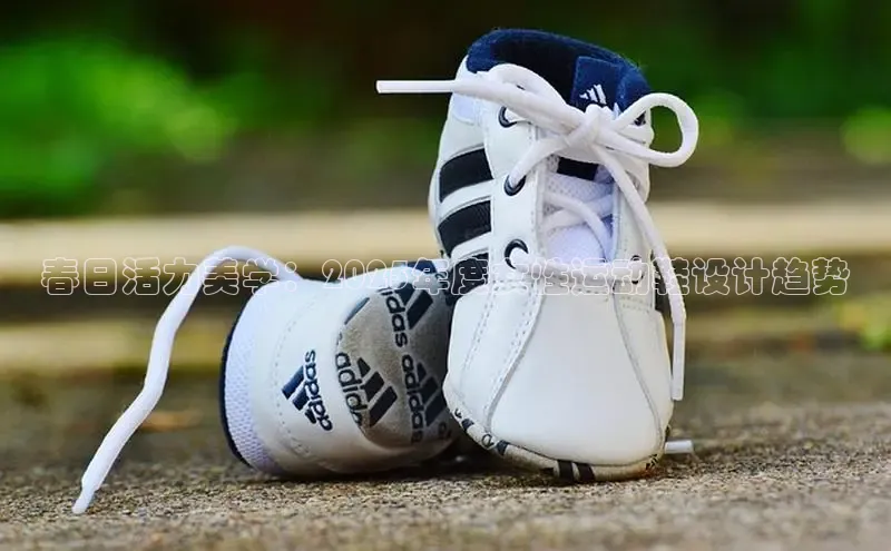 B体育网页登录版